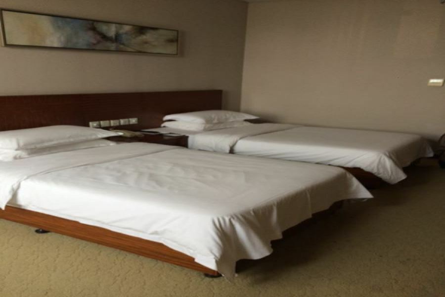 Nanjing Expo Center Hotel Εξωτερικό φωτογραφία