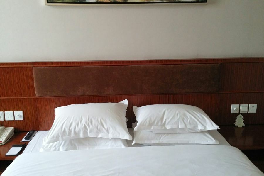 Nanjing Expo Center Hotel Εξωτερικό φωτογραφία