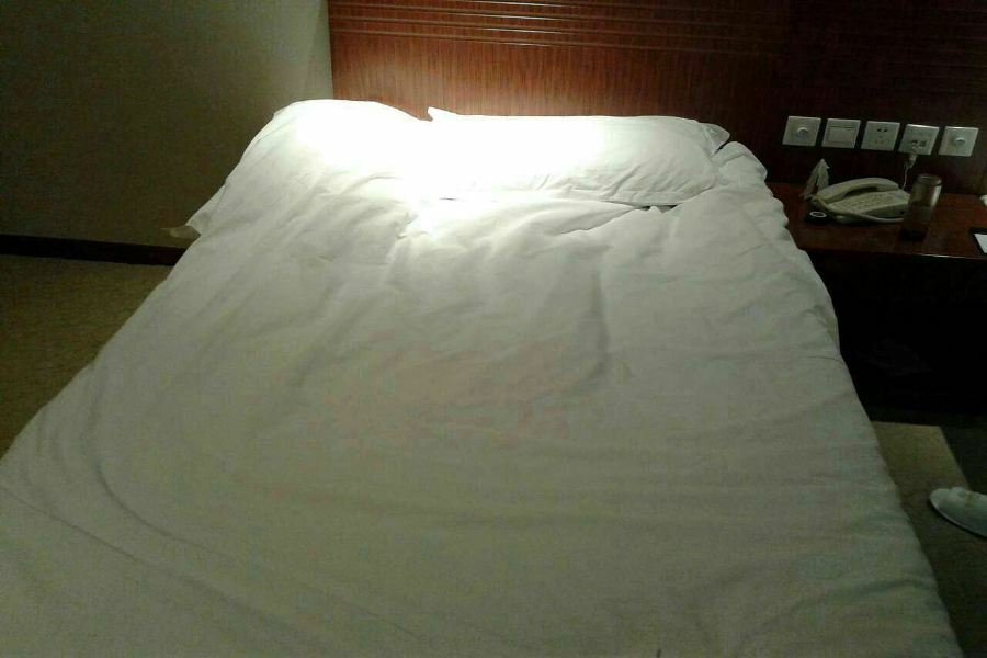 Nanjing Expo Center Hotel Εξωτερικό φωτογραφία